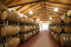 cantina-ballarin-gallery-10-1000x665